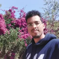 Portrait of Mohamed Mahmoud Chems-Eddin